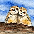 Owl Babies