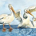 The Pelican Trio