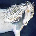 Night Horse