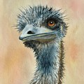 Emu Emu
