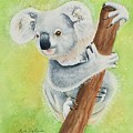Koala