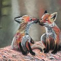 Red Fox Twins